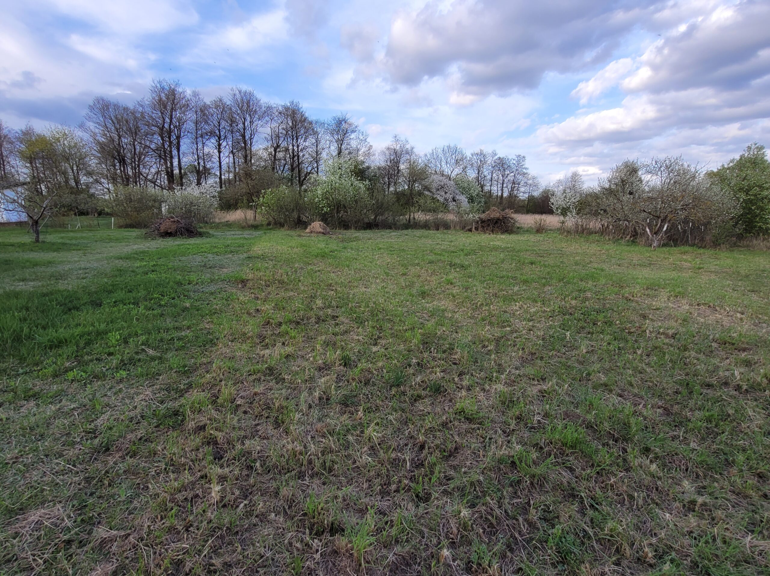 Parduodamas tuščias sklypas Marijampolės savivaldybėje Ąžuolyno kaime