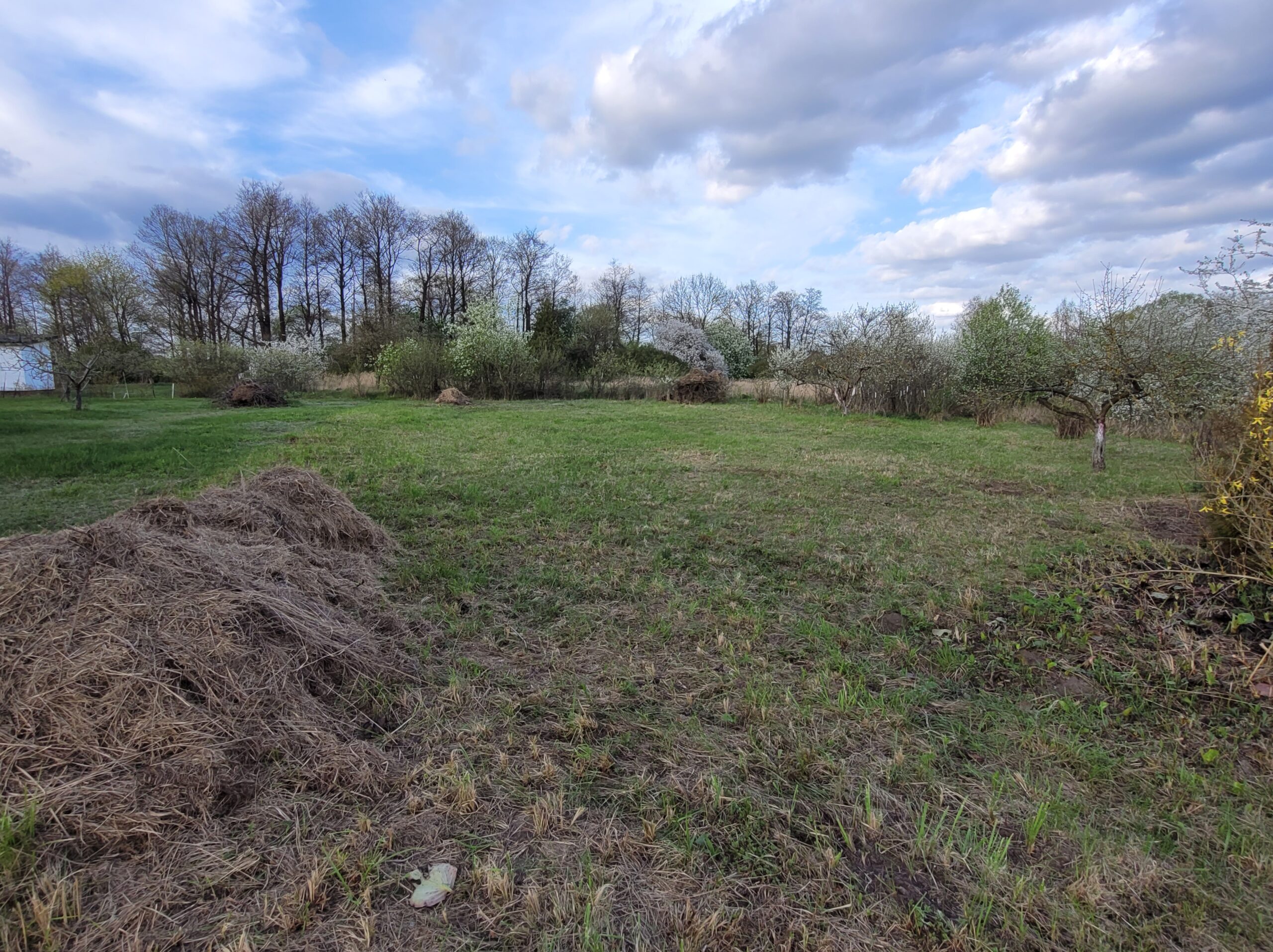 Parduodamas tuščias sklypas Marijampolės savivaldybėje Ąžuolyno kaime