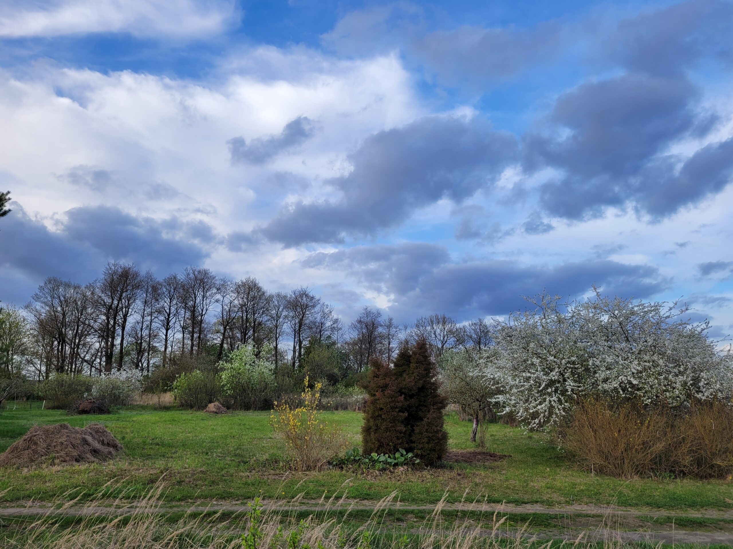Parduodamas tuščias sklypas Marijampolės savivaldybėje Ąžuolyno kaime