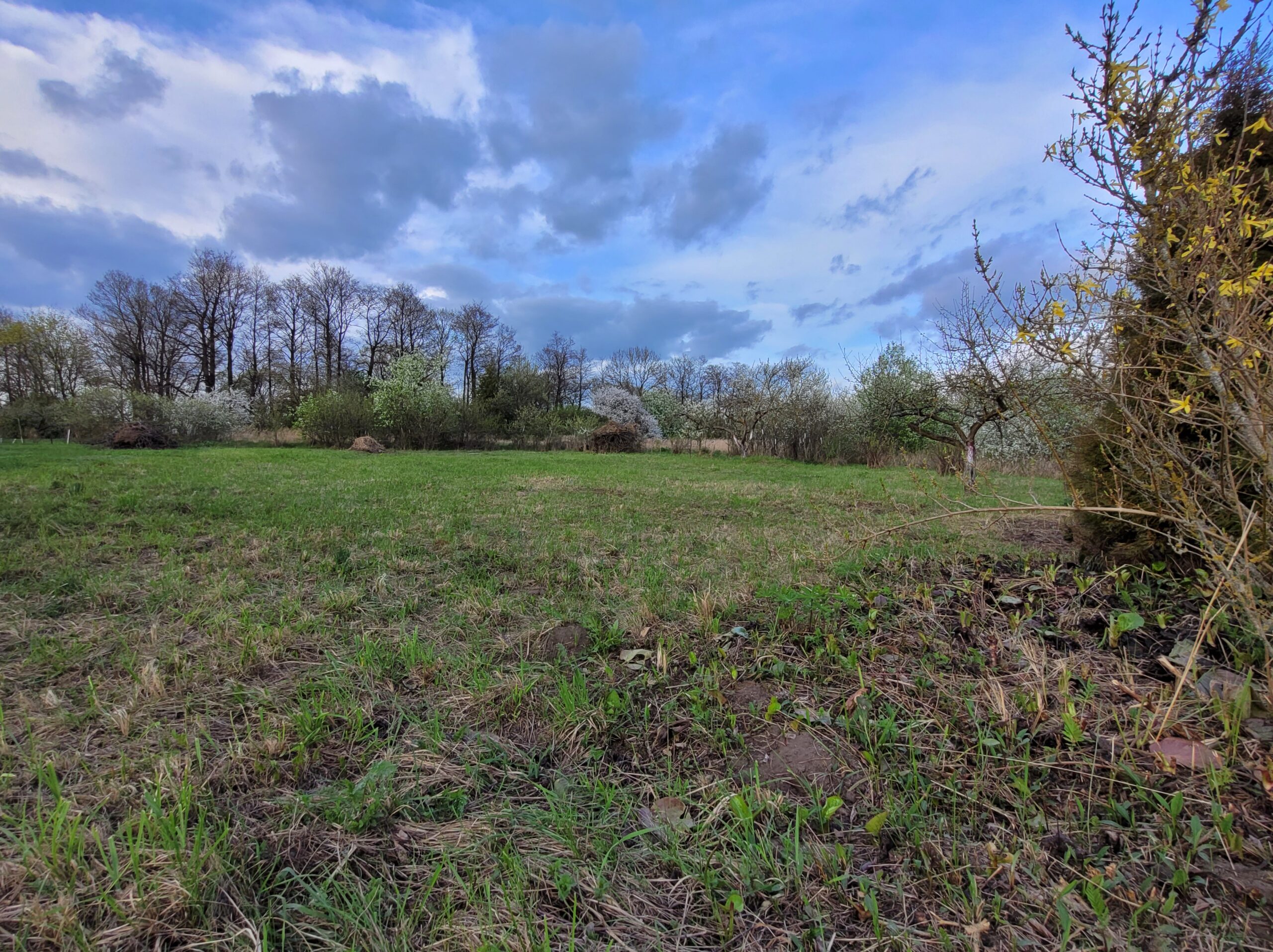 Parduodamas tuščias sklypas Marijampolės savivaldybėje Ąžuolyno kaime