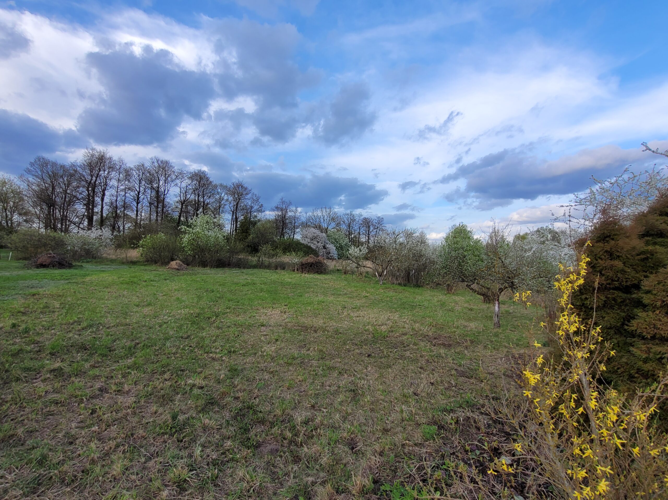 Parduodamas tuščias sklypas Marijampolės savivaldybėje Ąžuolyno kaime