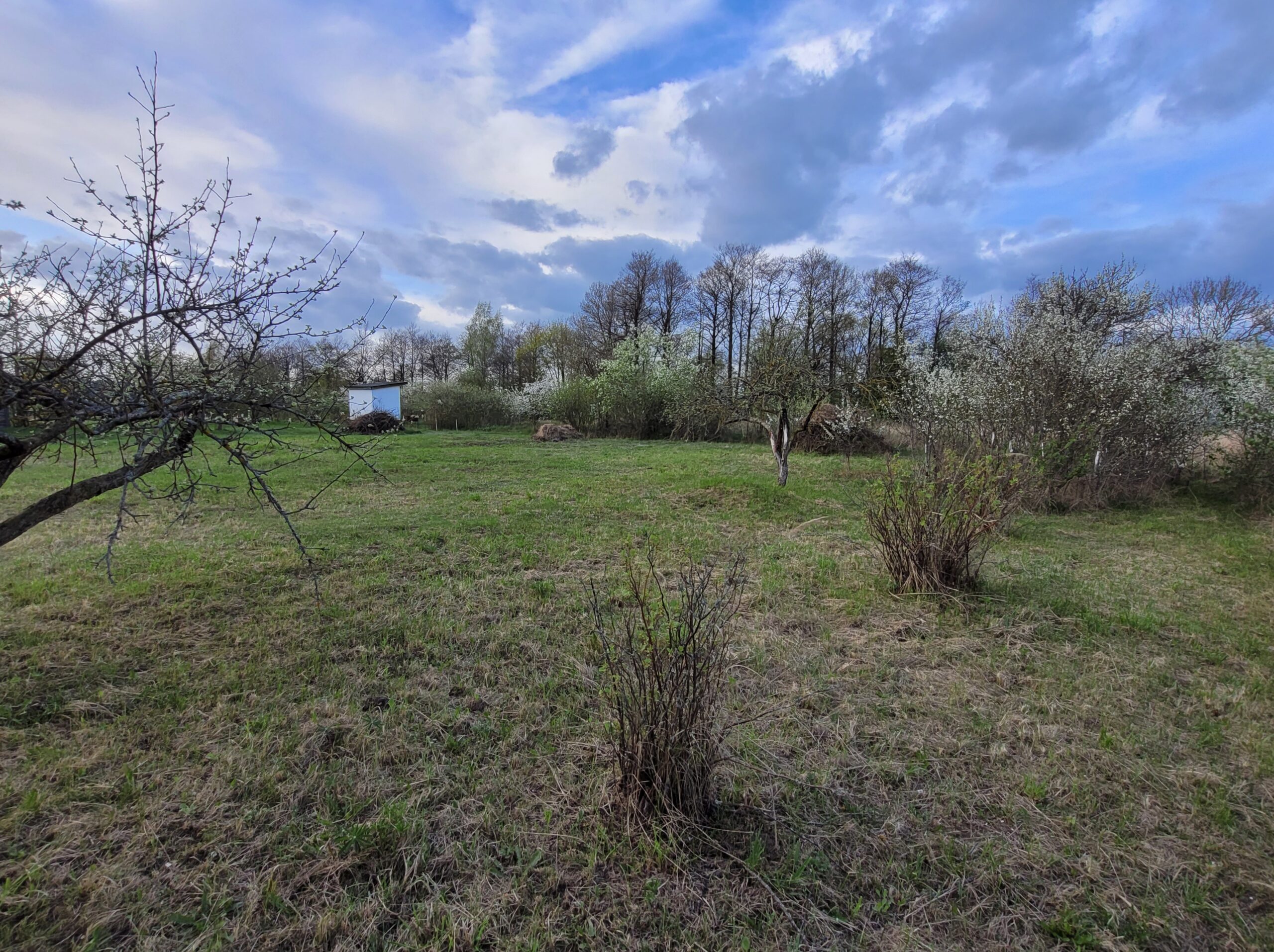 Parduodamas tuščias sklypas Marijampolės savivaldybėje Ąžuolyno kaime