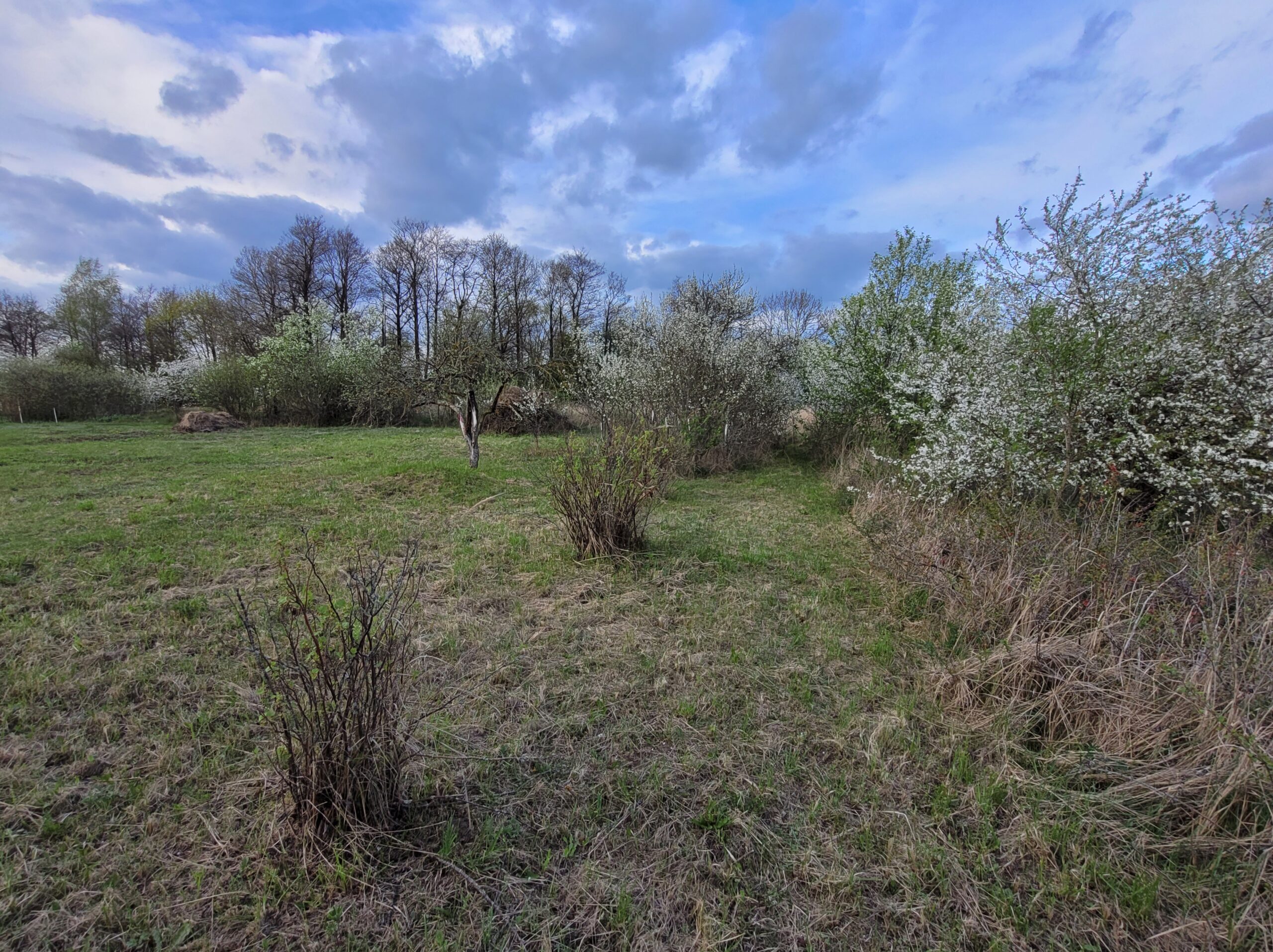 Parduodamas tuščias sklypas Marijampolės savivaldybėje Ąžuolyno kaime