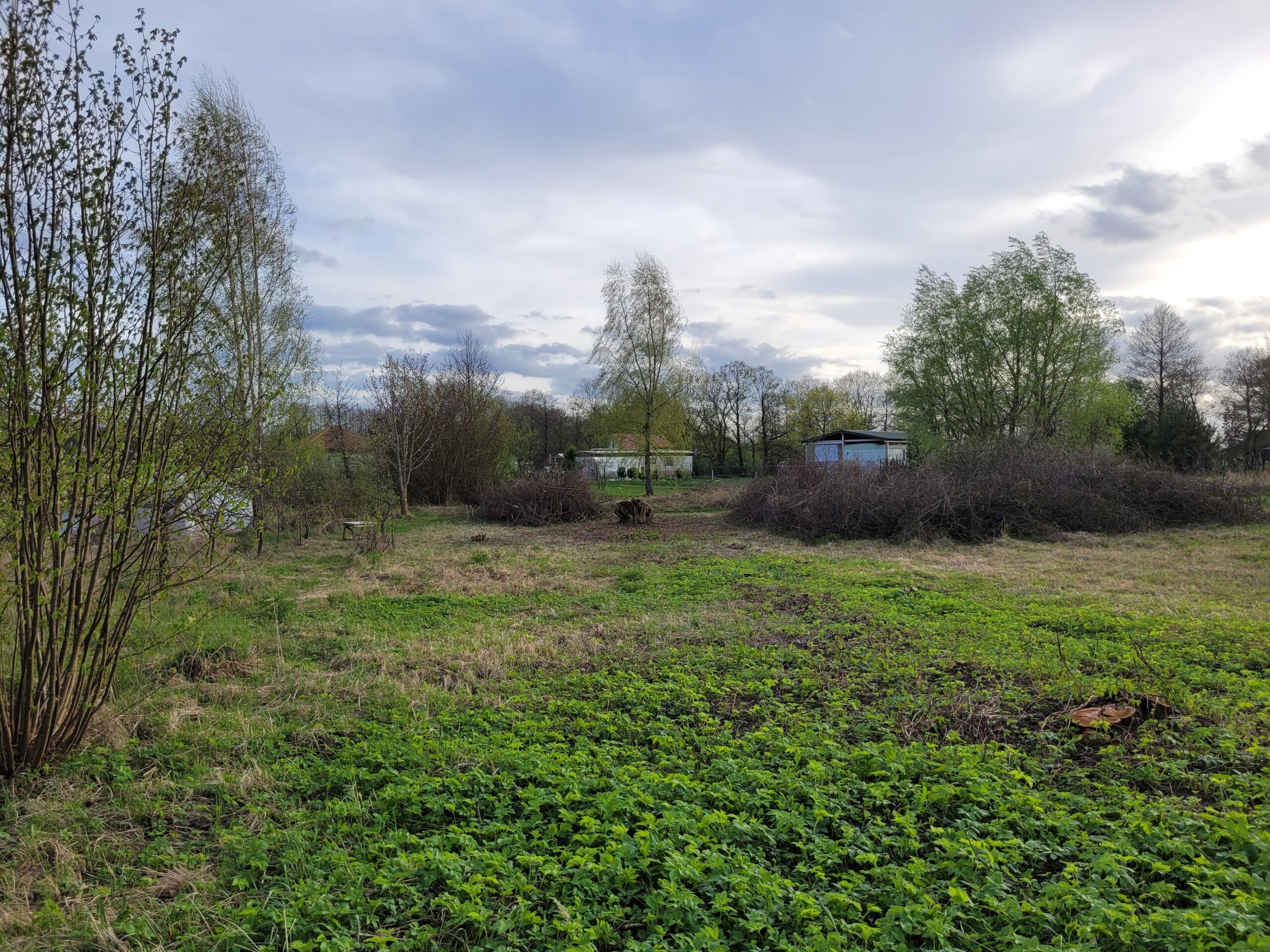 Sklypas Marijampolės sav., Ąžuolyne