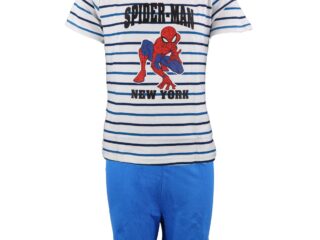 1a110643-0aec-407e-a50f-e75463ff52df