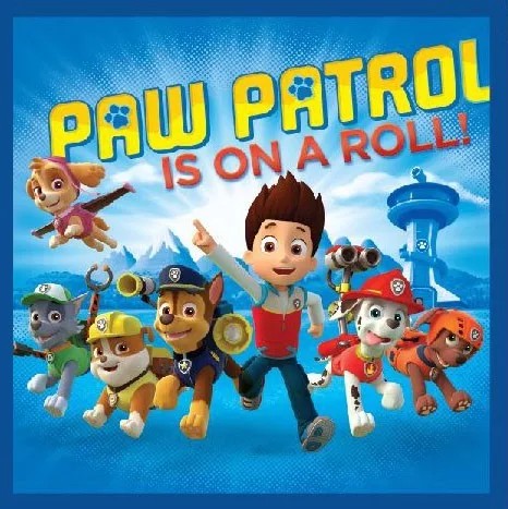 Veido ir rankų rankšluostis Paw Patrol Magic