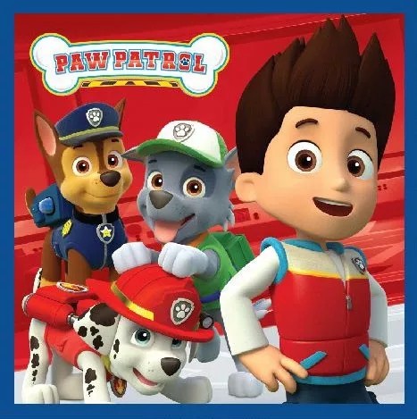 Veido ir rankų rankšluostis Paw Patrol Magic