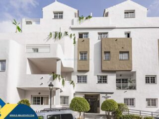 FB_IMG_1713937679283