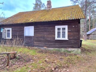 IMAGE-2024-04-02-195119