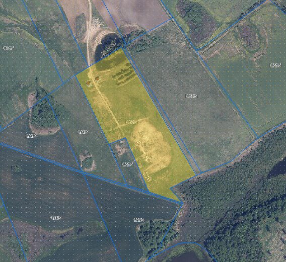 Parduodamas žemės sklypas Alytuje