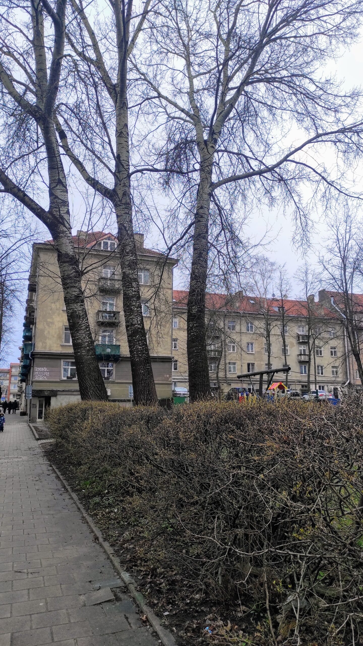 Butas Klaipėdos Senamiestyje