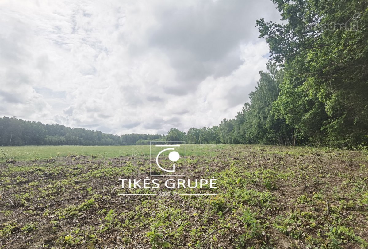 Klaipėdos raj., Radailiuose., gražioje vietoje parduodamas sklypas 3, 86 Hektarų