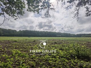 klaipedos-r-sav-radailiu-k-zemes-ukio-5