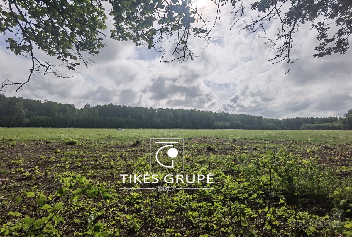 Klaipėdos raj., Radailiuose., gražioje vietoje parduodamas sklypas 3, 86 Hektarų