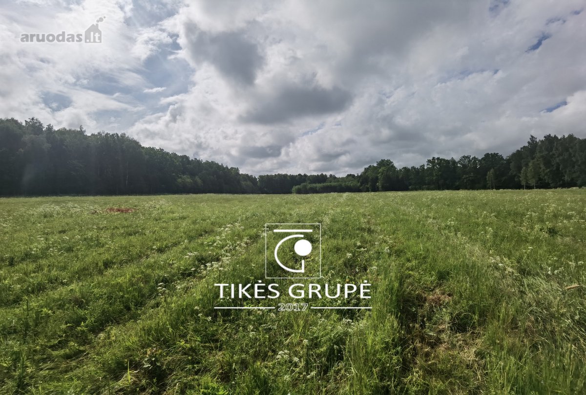 Klaipėdos raj., Radailiuose., gražioje vietoje parduodamas sklypas 3, 86 Hektarų