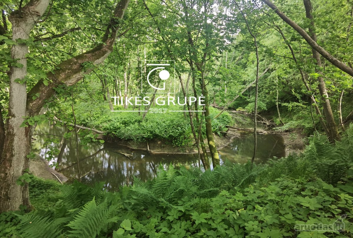 Klaipėdos raj., Radailiuose., gražioje vietoje parduodamas sklypas 3, 86 Hektarų