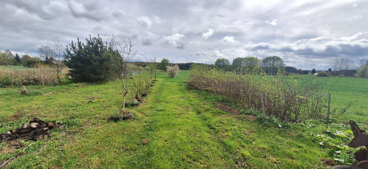 Parduodama sodyba Varėnos r. Jasauskų k.