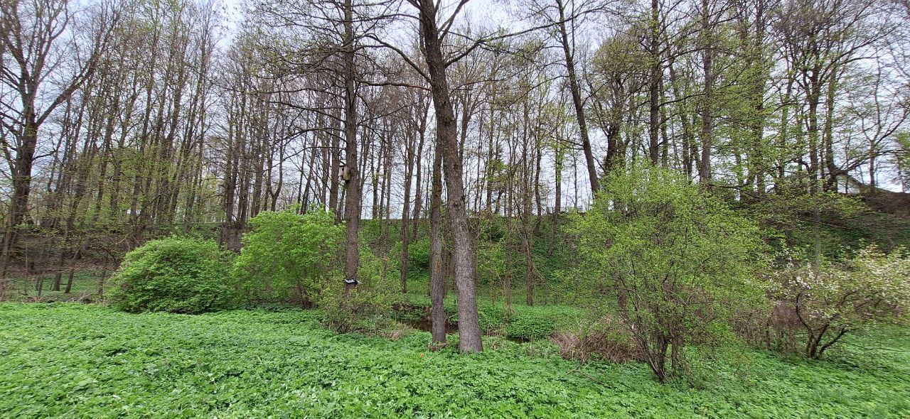 2 sodo sklypai Alytaus r. Maslauciškių k.