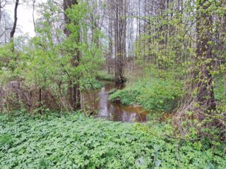 photo_2024-04-24_11-07-48