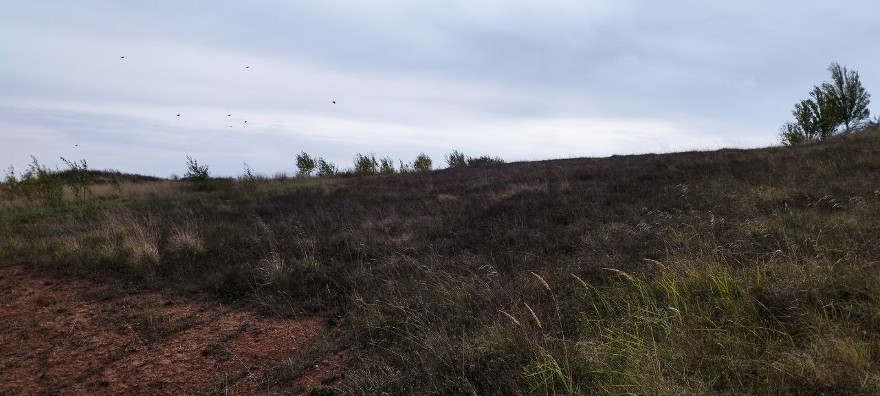 Parduodamas sklypas Alytaus r. sav.