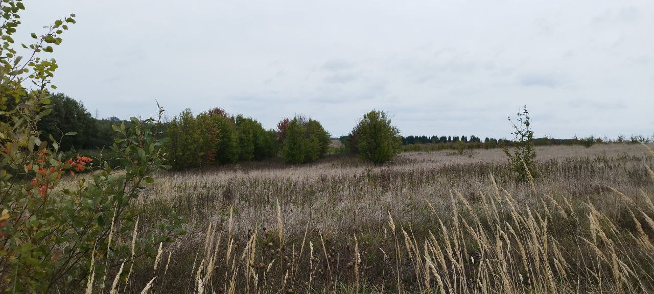 Parduodamas sklypas Alytaus r. sav.