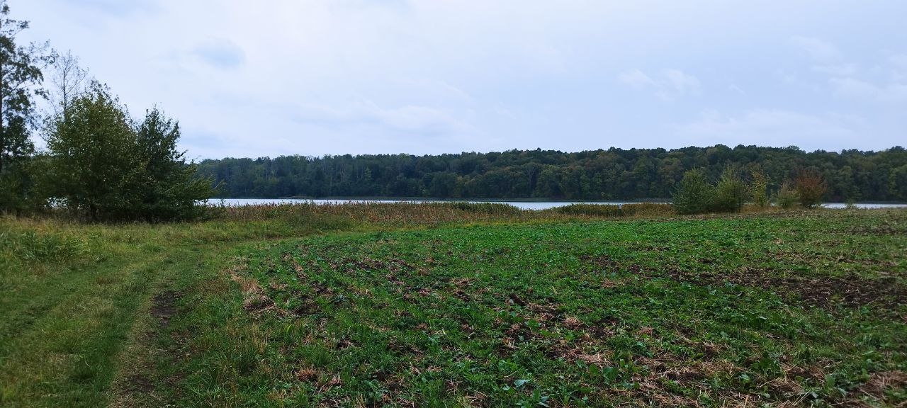 Parduodamas žemės sklypas Alytuje