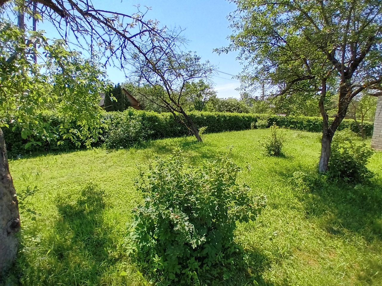 Parduodamas namas Radviliškio rajone, Baisogaloje