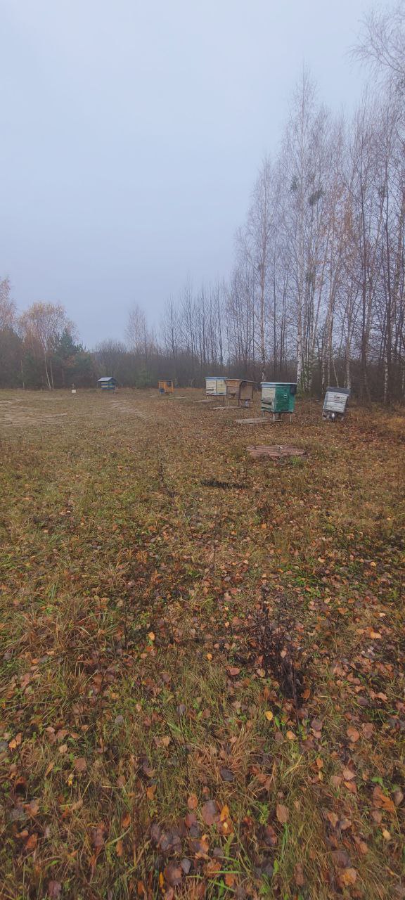 Parduodami 22 ha sklypai