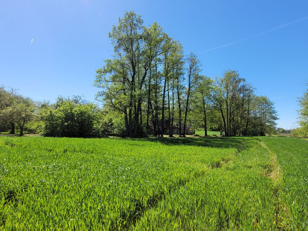 Parduodama sodyba Baltrušių k.Jankų g