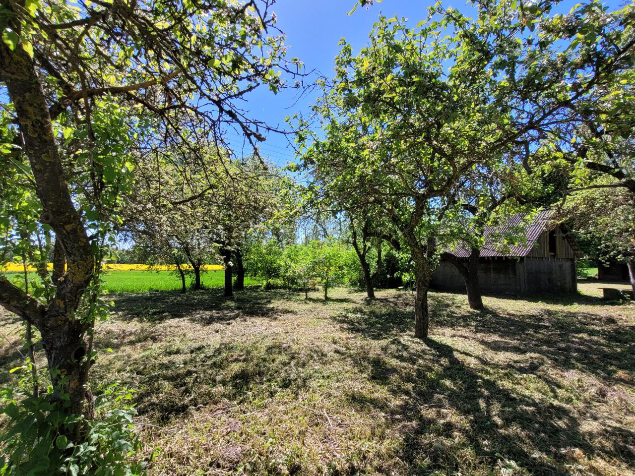 Parduodama sodyba Baltrušių k.Jankų g