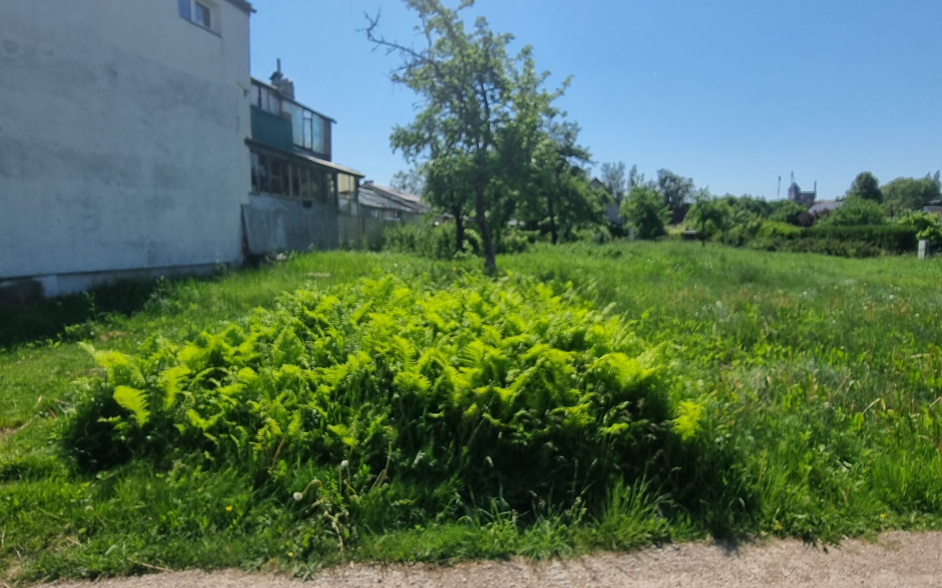 Parduodamas sklypas šalia Danės upės, Mažajame kaimelyje