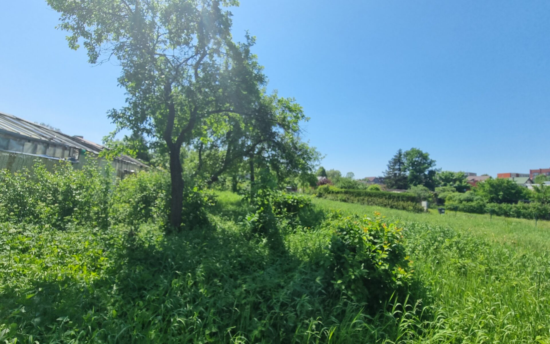 Parduodamas sklypas šalia Danės upės, Mažajame kaimelyje