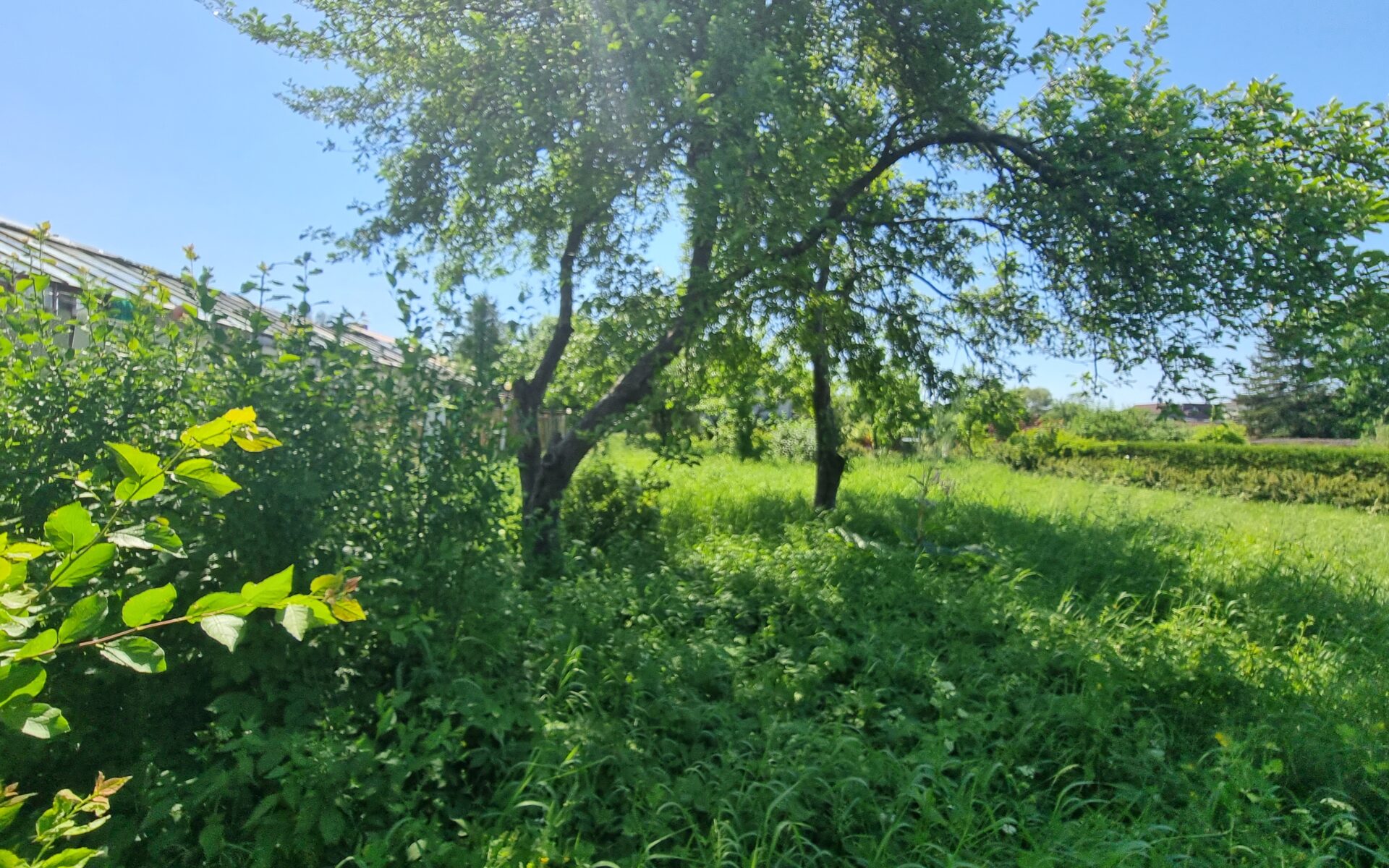 Parduodamas sklypas šalia Danės upės, Mažajame kaimelyje