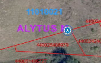 PARDUODAMAS SKLYPAS PIRMAJAME ALYTUJE