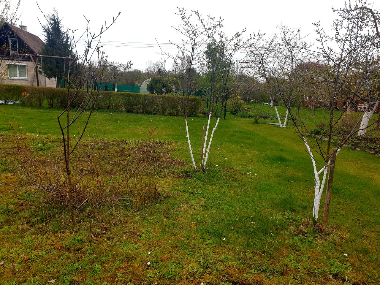 Parduodamas sodo sklypas Panevėžio r.