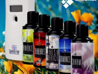 442393521_934688428674709_9051567492391825464_n