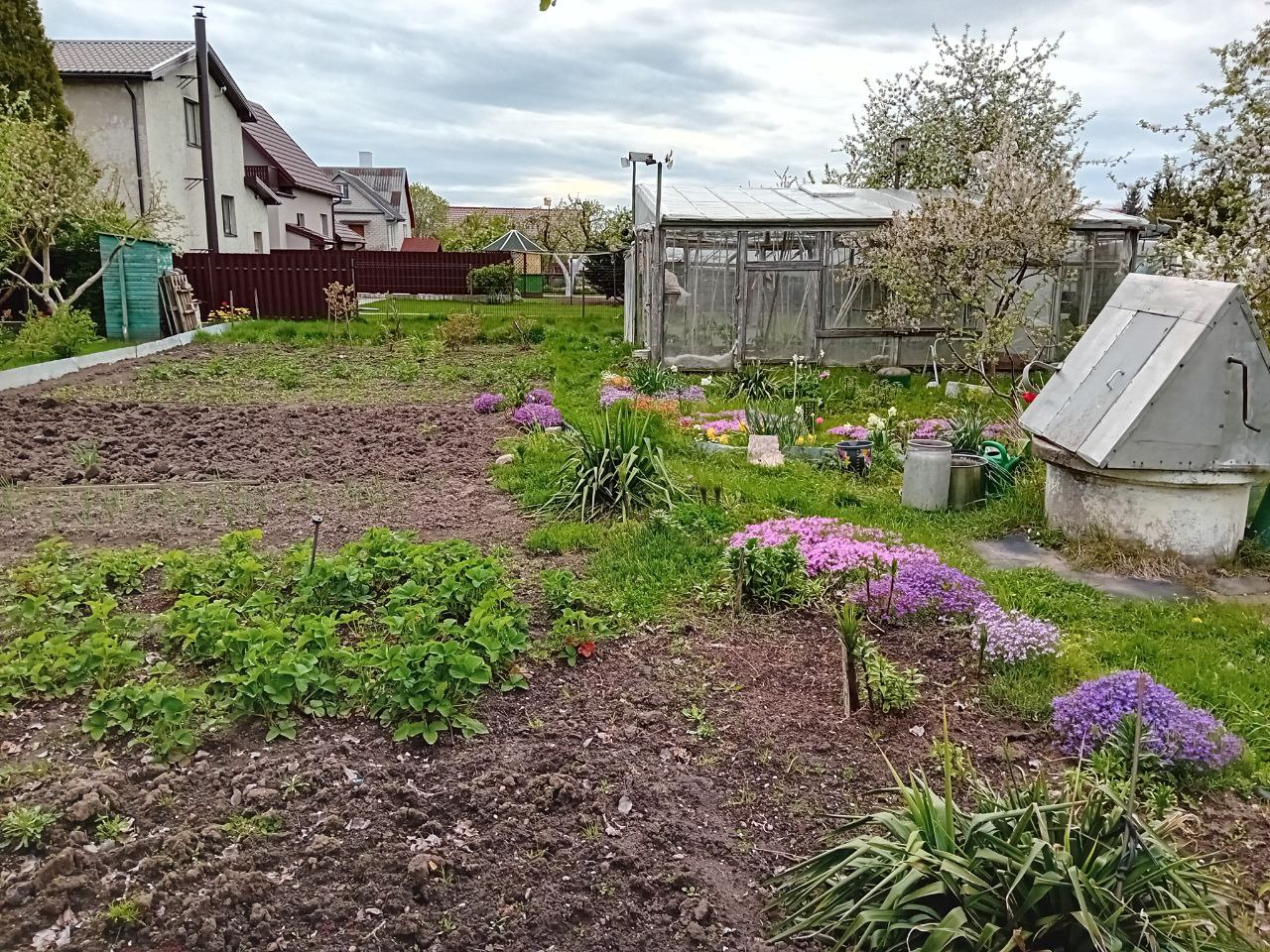 Parduodamas sodas iki Šiaulių 6,5 km