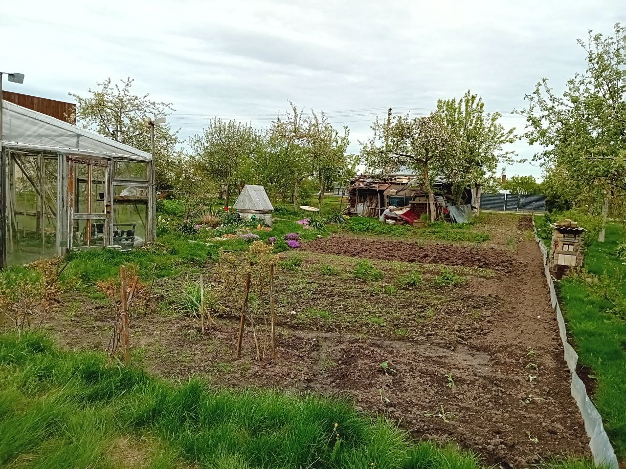 Parduodamas sodas iki Šiaulių 6,5 km