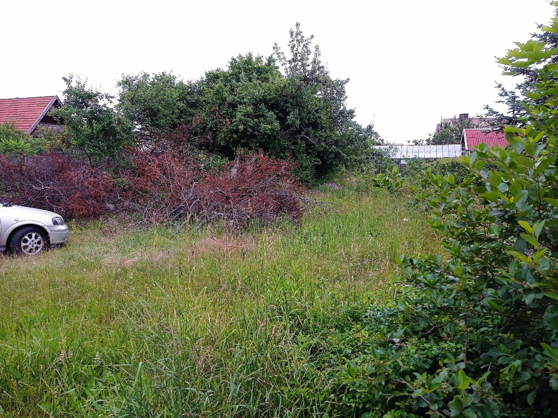 Parduodamas 6 arų sodo sklypas Dituvos sodų bendrijoje, Dercekliuose. Sklypas atokiau, netoli miškas.