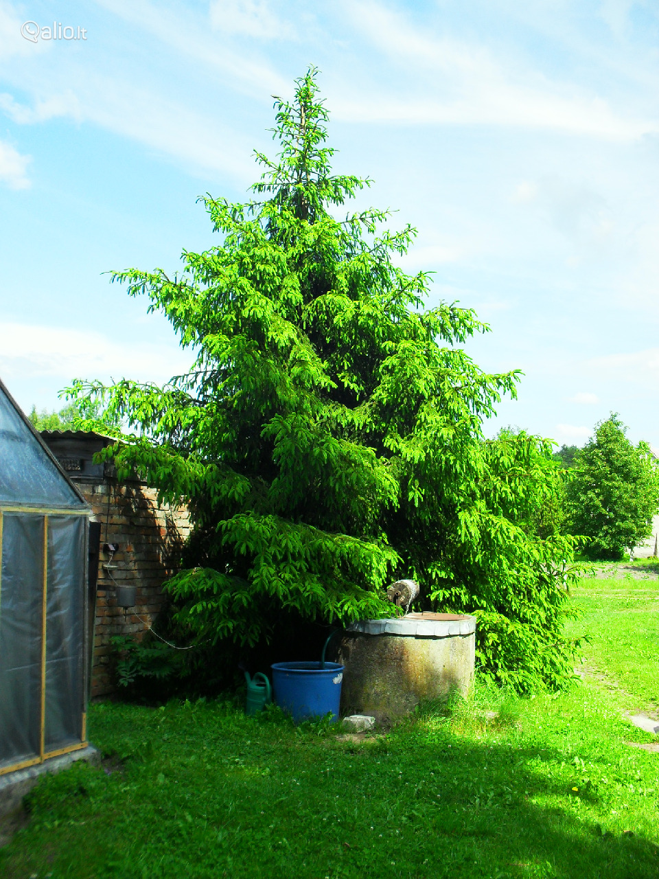 Sodyba Kelmės r. sav., Laikšių k.