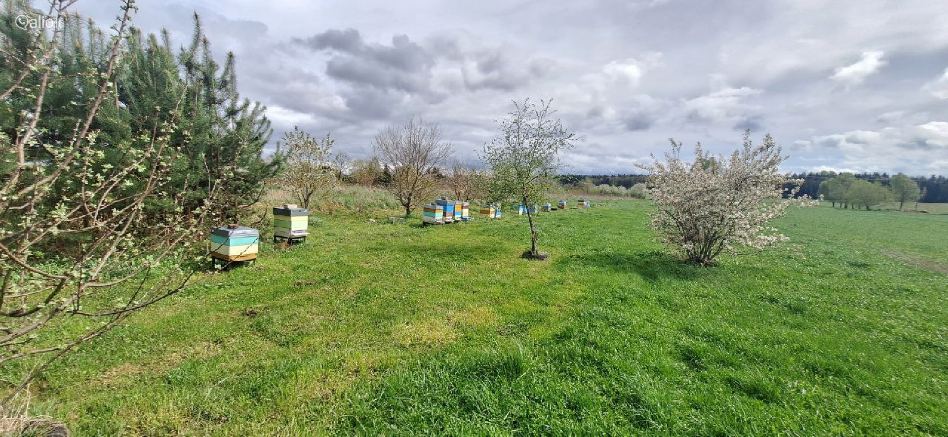 Parduodama sodyba Varėnos raj.