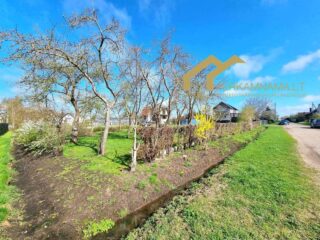 FB_IMG_1716390048141