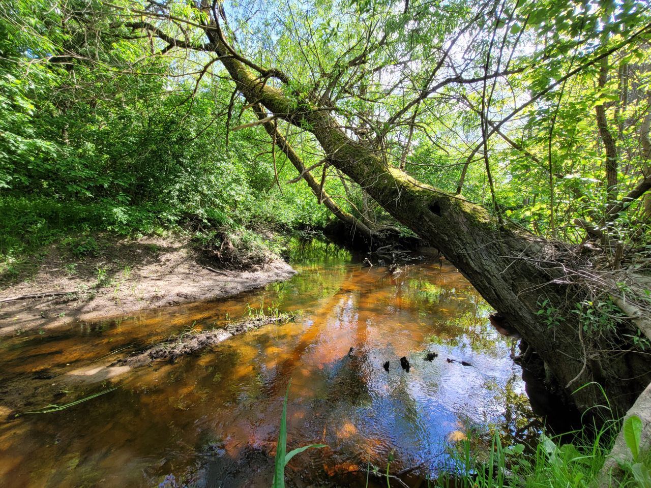 Parduodamas sklypas Prienų R. Sav., Veiverių Sen., Papilvio K.,