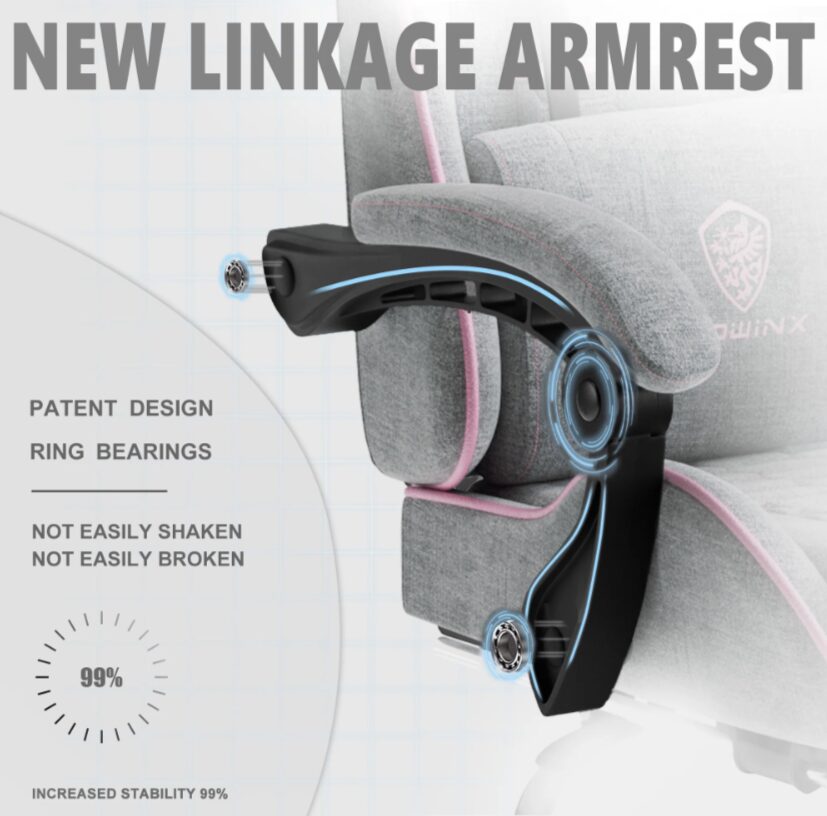 Premium klasės, ergonomiška „Dowinx” žaidimų kėdė (Gray-Pink).