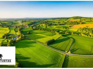 Screenshot-2023-12-07-130759