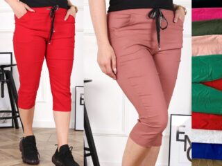 cp025_dideli_dydziai_bridzai