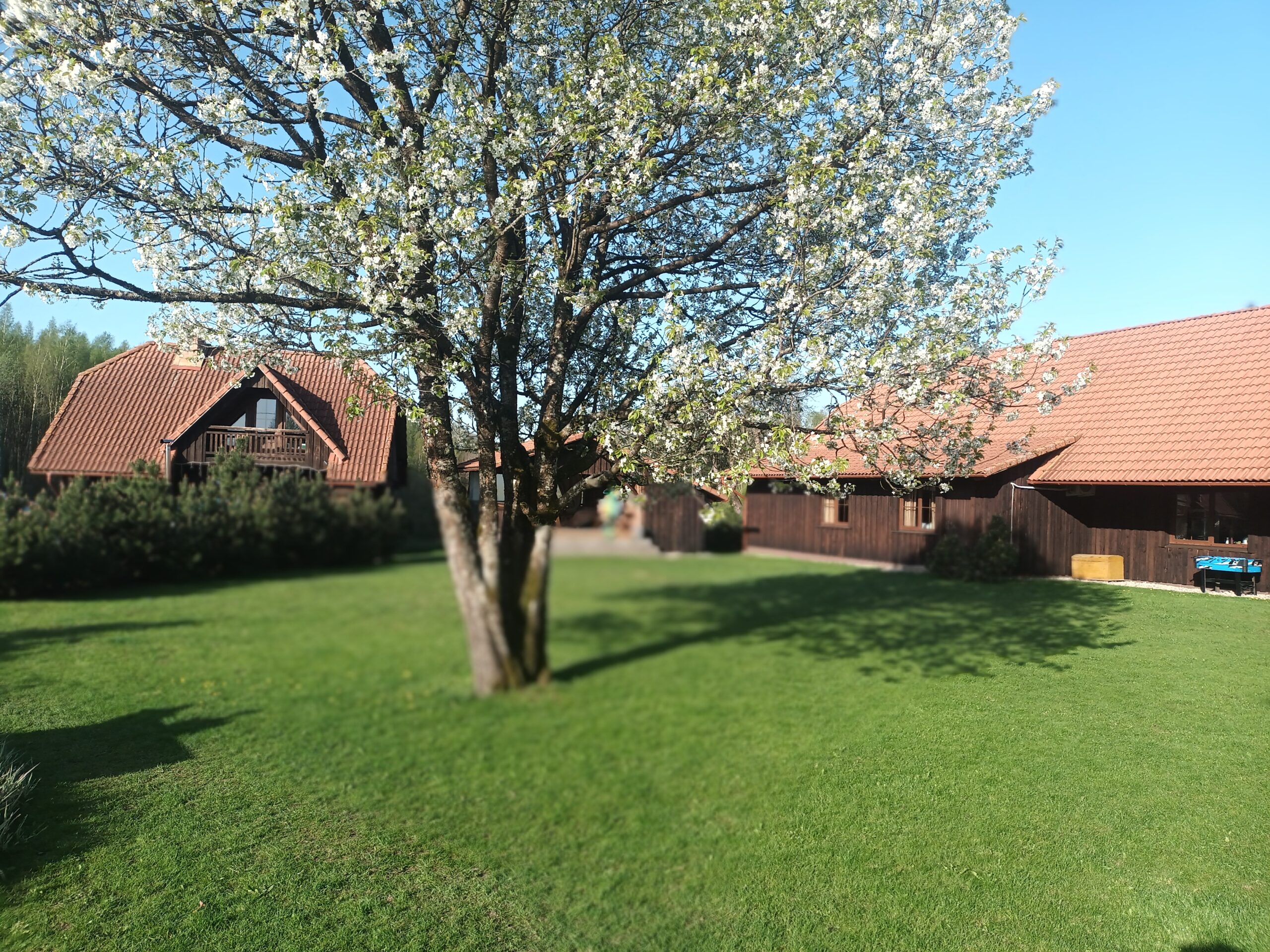 Prystovų sodyba – rezervacija