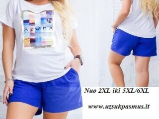 k111_sortai_dideli_dydziai