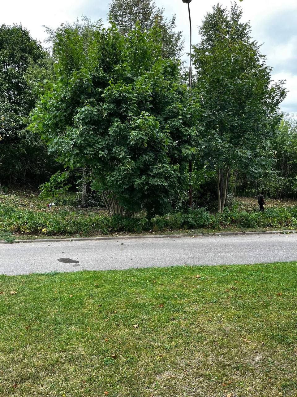 Namų valdos sklypas Alytuje