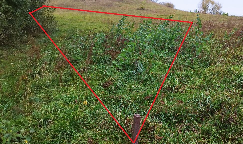 PARDUODAMAS SKLYPAS PIRMAJAME ALYTUJE